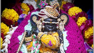 श्री राधा रमण लाल जी के मंगला आरती के सुन्दर दर्शन।05/01/2026 #love  @vrindavanGuide 