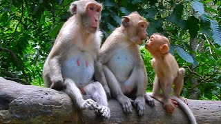 when a little baby came to met Jonna she look to hungry to smell her mouth and Jane was kind for her