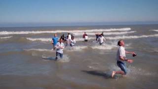 thinkorswim polar plunge