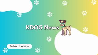 KDOG News Live Stream