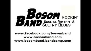 Bosom Band... "Walk The Hard Line" @ The SawTown Tavern on 7-15-17 recorded by: L.A. Ives
