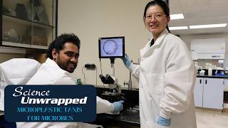 Science Unwrapped — Microplastic Taxis for Microbes