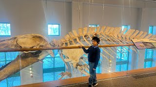 North Carolina Museum of Natural Sciences | Day Trip to Raleigh