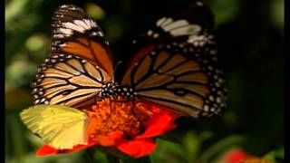 US Get to Know Contest Launch Event Video 2012