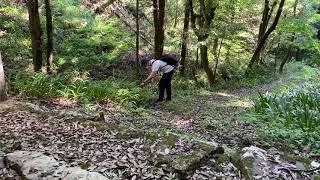 Field Recording with zoom H4n