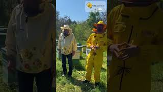 Protection shield for your bees