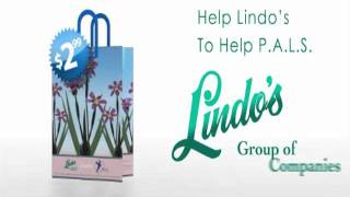 Einteractive Solutions Media Portfolio - Lindo's