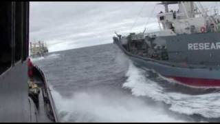 Sea Shepherd Ship Bob Barker rammed by the Japanese harpoon ship Yushin Maru 3