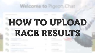 How to Upload Race Results on Pigeon Chat