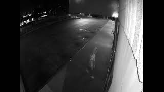 Live Guard Intervention   Loitering in front of Convenience Store