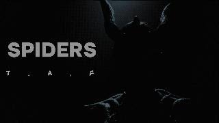 Spiders - T.A.F