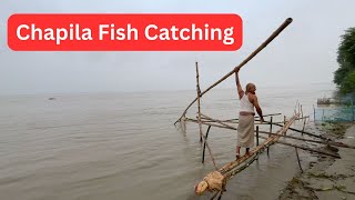 Chapila Fish Catching in River Ancient Net