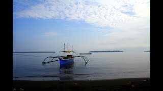 anak kepiting