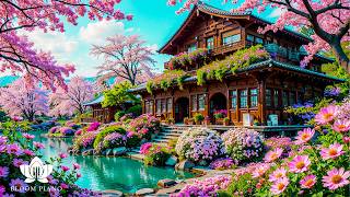 Spring Bloom Garden - Music Therapy 🌿Recovery of The Nervous System 🌸 Gentle Piano
