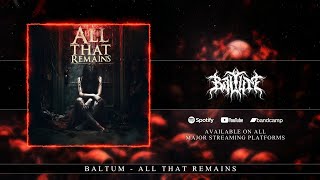 Baltum - All that Remains [Lyrics Visualizer]