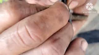Tube stem valve repair