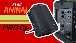P1 GO PRO DJ - REVIEW BEFORE YOU BUY / PORTABLE AND LIGHTWEIGHT / RECHARGEABLE BATTERY
