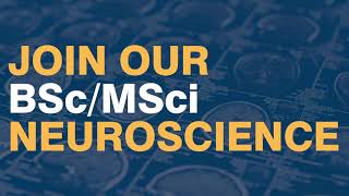 University of Glasgow, BSc/MSci Neuroscience