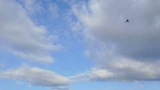 Blue Skys 9