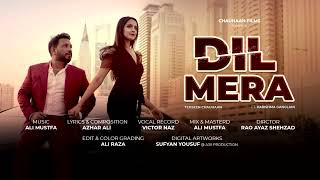 Dil Mera Song ||🎵 Audio |By| Tehseen Chauhaan ||