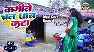 Video. | Kamine Chal Dhan Kta😡 | Sumit And Kajal | Firingi Budhau | #Comedy 😃 song |bhojpuri 2024