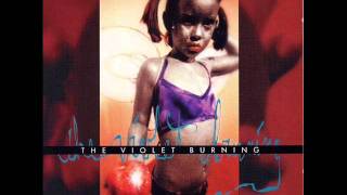 The Violet Burning: The Sun and the Sky, The Violet Burning