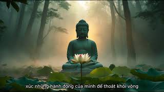 Khám Phá Chữ Tâm: Con Đường Đến Giác Ngộ & Cuộc Đời An Vui