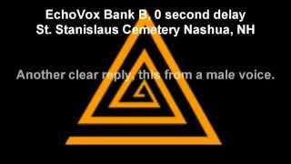 EchoVox FULL SENTENCE REPLY "My name is Robert."