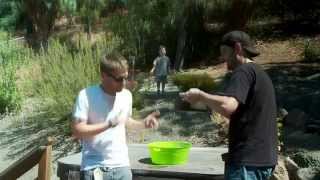 ALS IceBucket Challenge!