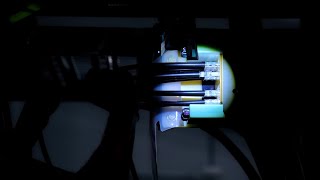 Polaris 2024