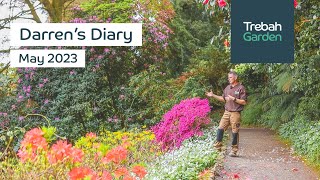 Colour, Scent and Size in The Garden | May 2023 | Darren's Diary