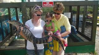 Florida Gators aren't so tough