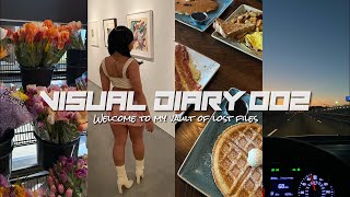 VISUAL DIARY 002: Vault Of Lost Files | College Experience + Life Update