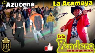 Trio Zendero Hidalguense - la Azucena y la Acamaya 