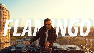FLAMINGO. | SANDPOKERS