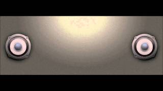 DJ Delite Vol 1 - I Said I Like It