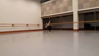 Video Reflection #1 - Erica