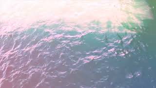 Woesum & Acea - CME (2015)