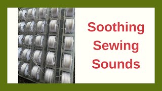 Relaxing ASMR Sewing: Filling a Case of Bobbins with 1000m Gütermann Thread (Brother SE600)