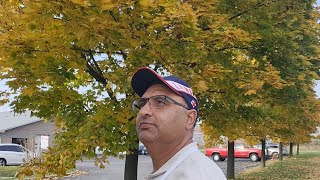 Fall Season and Happy Diwali