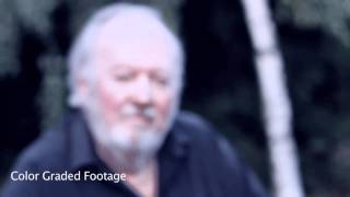 Canon 550D Video Test