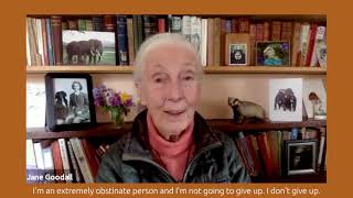 Jane Goodall on 'What To Do When People Make You Angry'