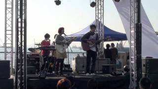 the evening primrose - lander (live)