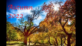 AUTUMN 2022 PAKISTAN.