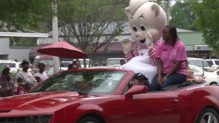 Clarendon County Striped Bass Festival 2016