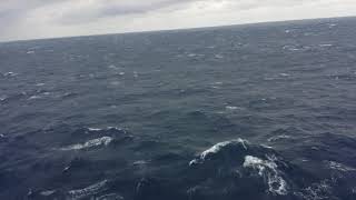 Bermuda Triangle 2020