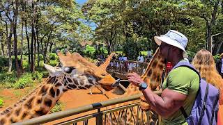 Feeding Giraffes at the Giraffe Center in Kenya 🇰🇪 