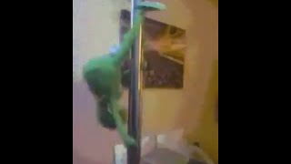 Random videos in my recommended