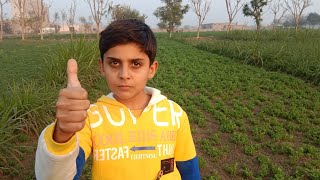 Haq sach Ki awaaz muneeb Ki zubani