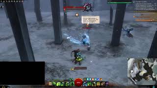 Snowdendrifts DRM - 3 CM solo